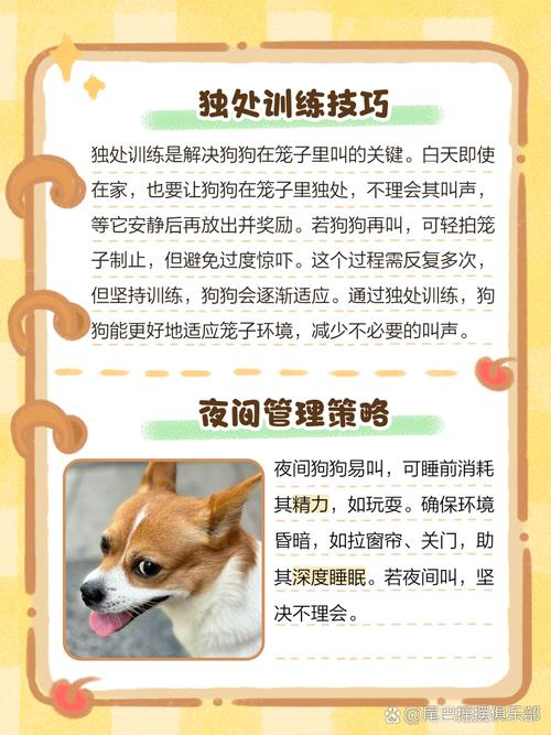 刚到家的小狗关在笼子里一直叫怎么办