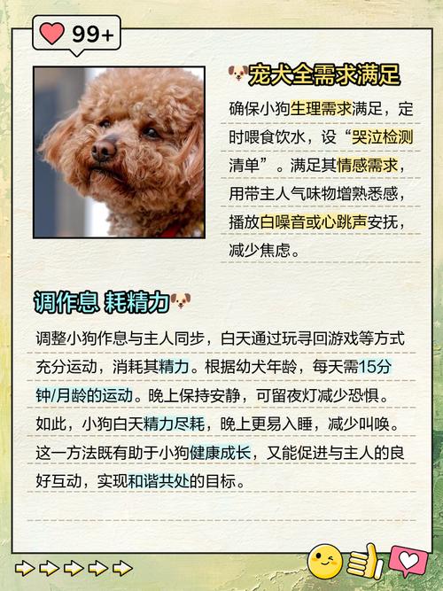 狗发情一直叫怎么办?