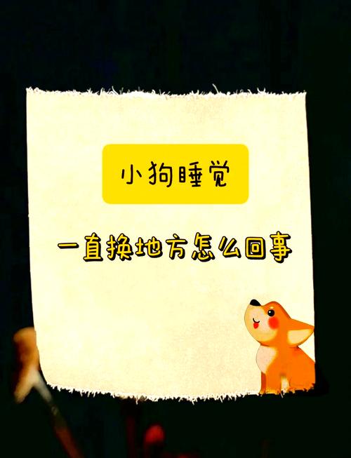 狗狗换地方晚上叫怎么办?