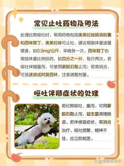 比熊呕吐吃什么药?