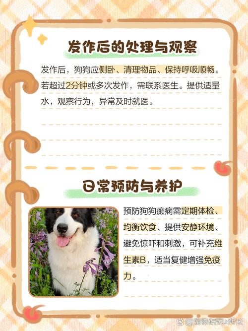 狗狗为什么会得癫疯病