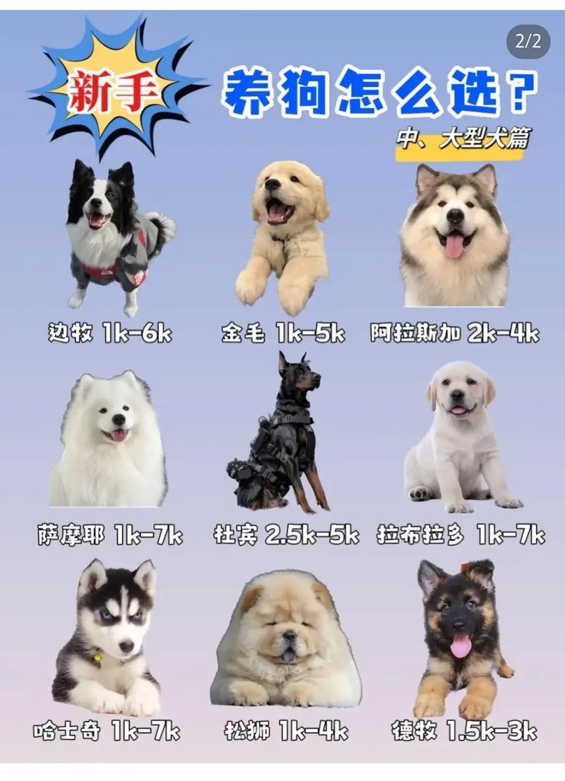 宠物狗细小要花多少钱?