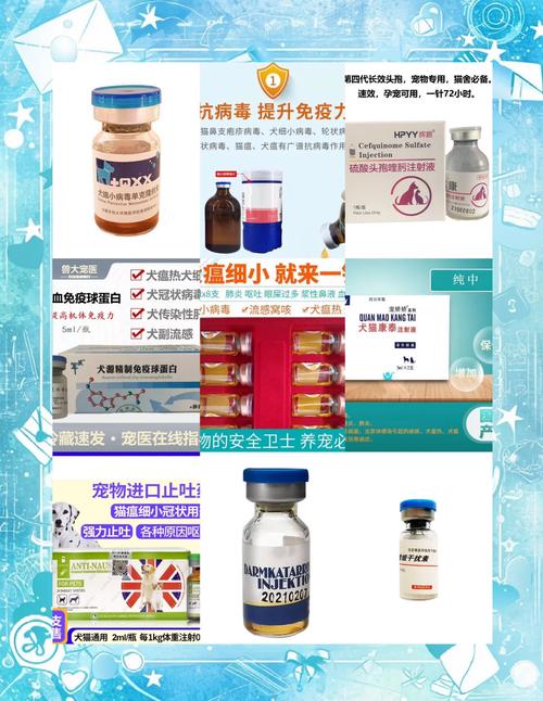 狗狗化验细小需要多少钱