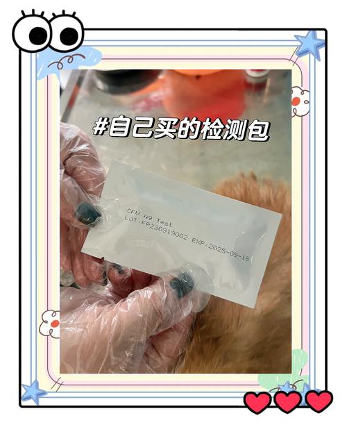 细小多少钱狗狗细小要多少钱