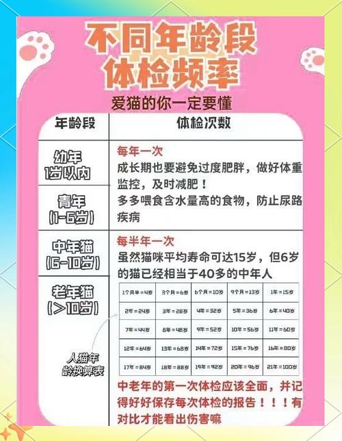 捡了一只流浪猫,怎么给它做身体检查啊?