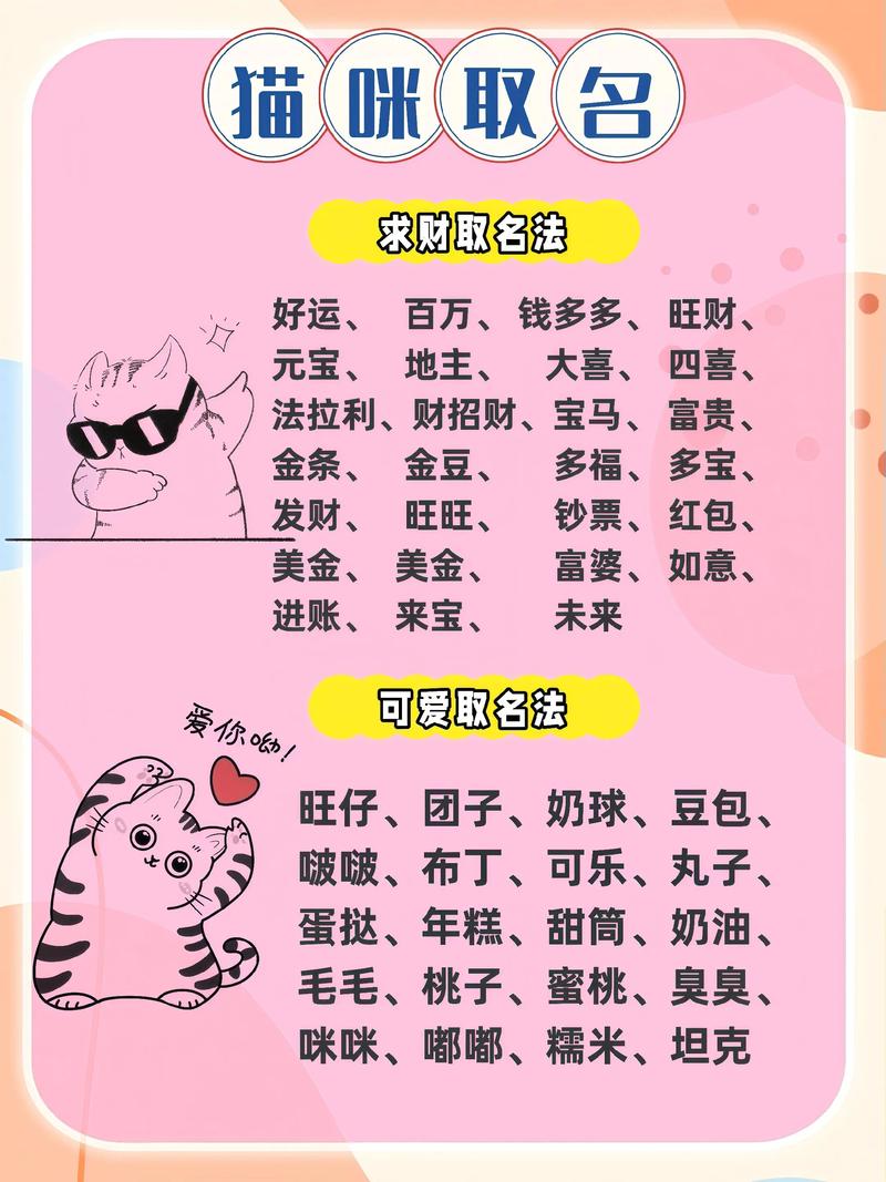 100个招财好名字猫,给主人带来好运的猫名字