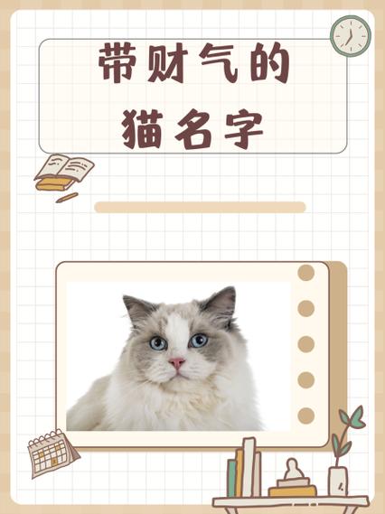 带财气的猫名字