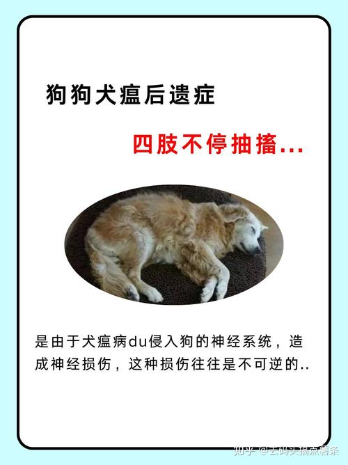 犬瘟热后遗症有哪些特征?犬瘟热后遗症