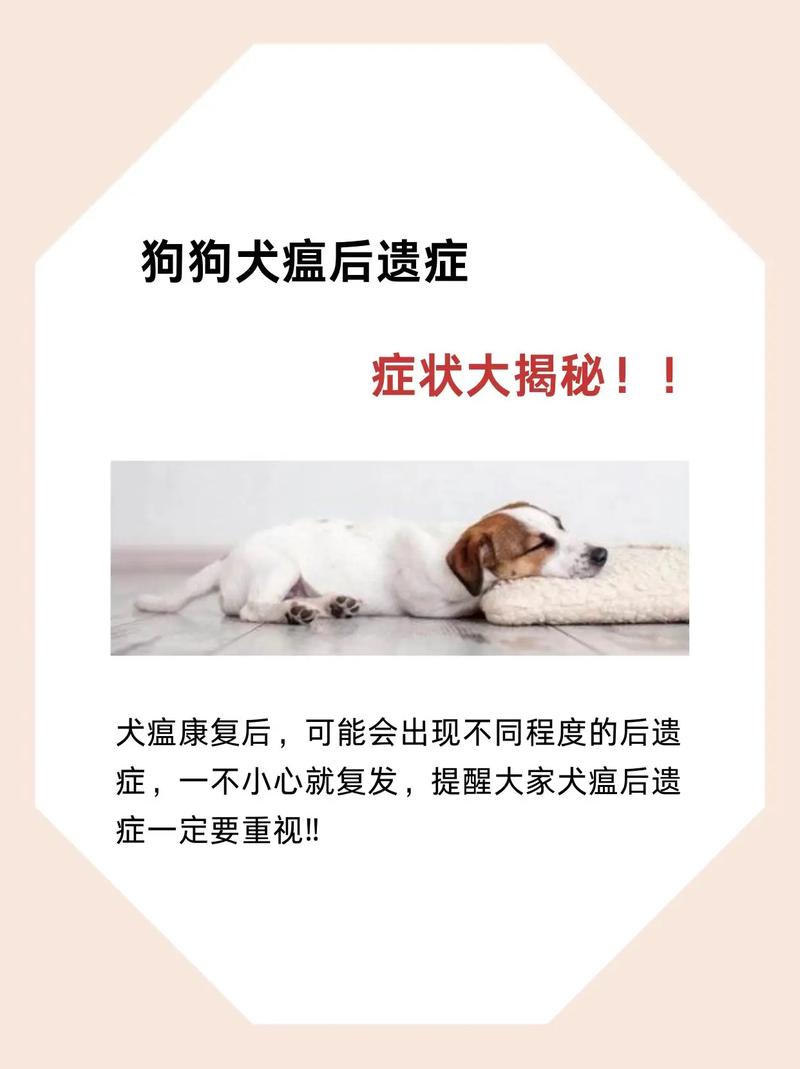 犬瘟后遗症有哪些症状