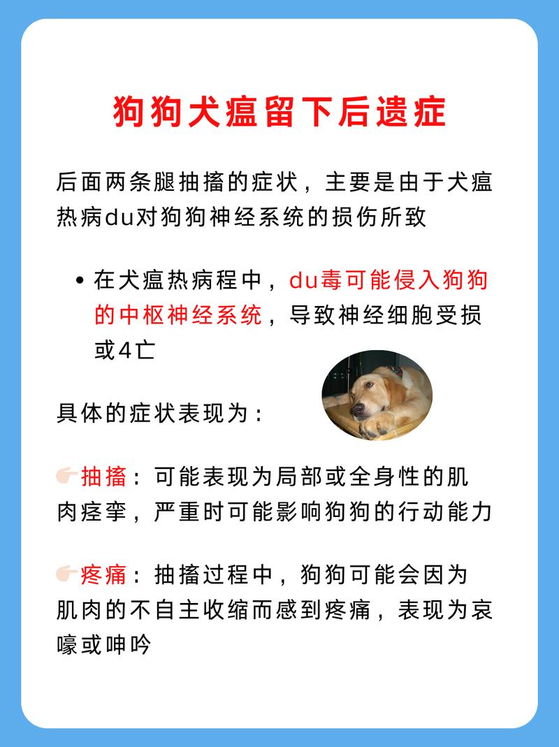 犬瘟热后遗症都有哪些