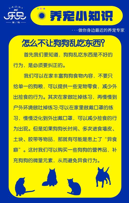 怎样才能让狗狗不乱吃东西