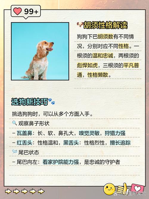 狗狗的胡子有什么作用