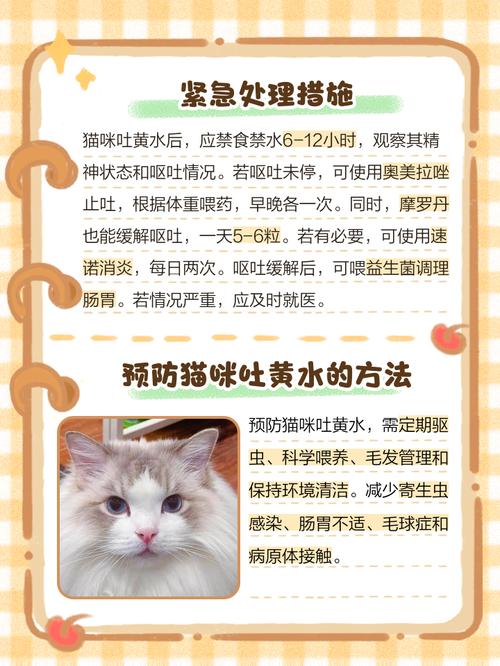 猫吐黄水几天能自愈