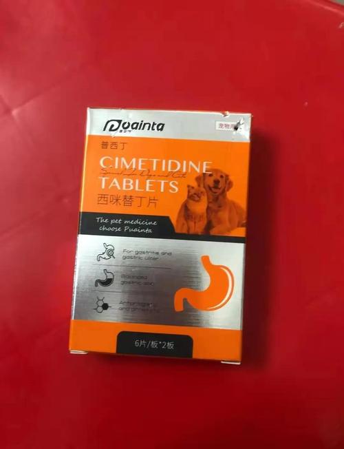 猫咪尿难闻吐黄水怎么办