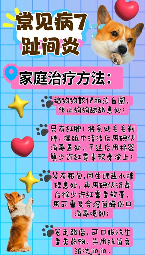 狗狗趾间炎在家怎么治用什么治疗