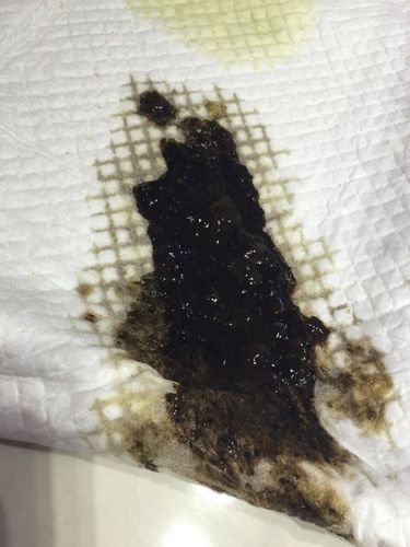 幼犬拉稀像泥浆很臭,原因与处理方法