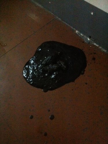 狗狗拉稀像泥浆很臭怎样治疗