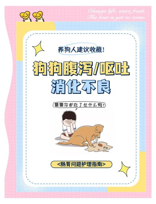 狗狗拉稀像泥浆很臭