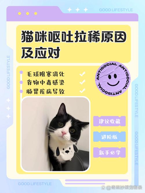 猫咪又吐又拉稀精神很好是为什么