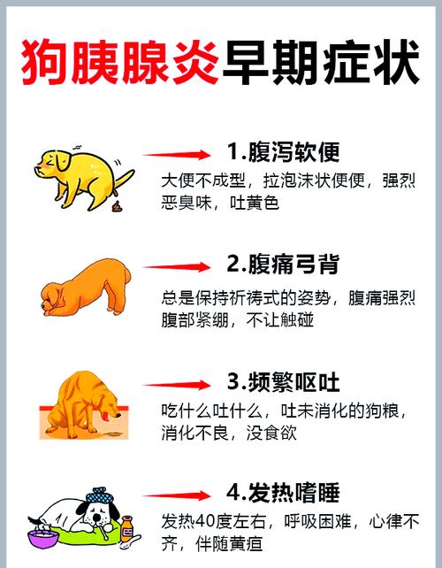 狗胰腺炎几天死亡