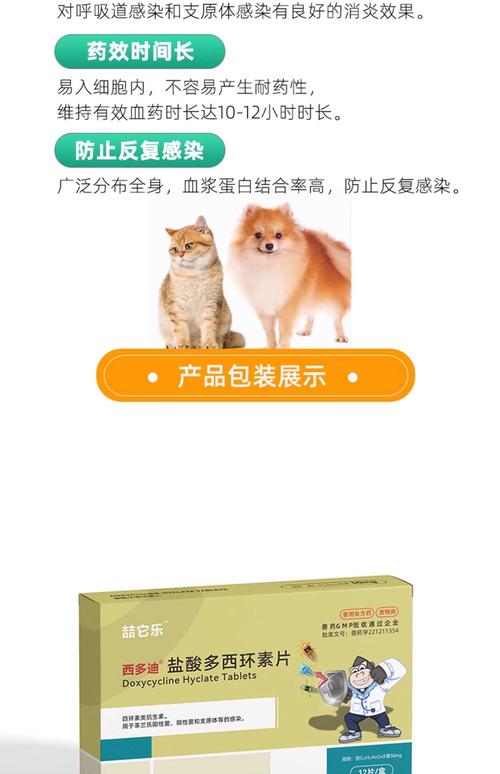 狗狗狗鼻子干是怎么回事