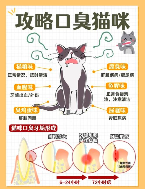 猫咪嘴巴很臭怎么办