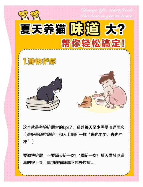猫咪除口臭的简单方法