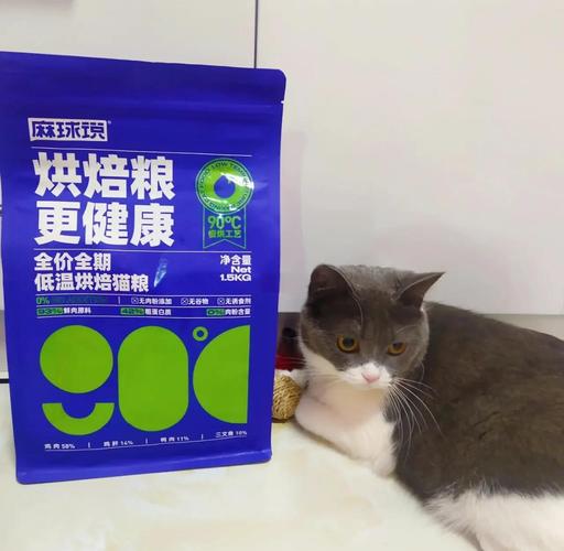 小猫咪能吃芝麻球吗?