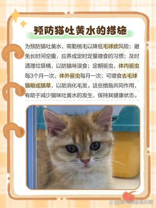猫咪不吃东西吐黄水