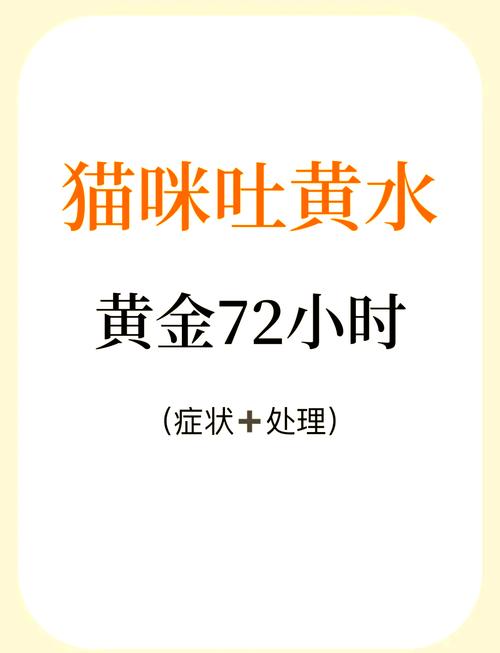 猫咪只吐黄水不拉稀不吃东西怎么办