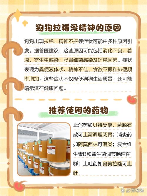 狗狗拉肚子吃什么药最有效