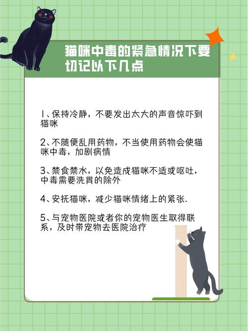 猫咪搬进新家有甲醛会怎么样