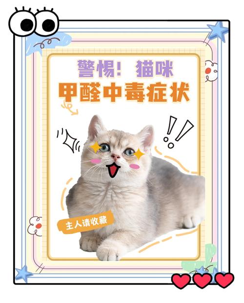 猫咪吸入甲醛后会有哪些表现?