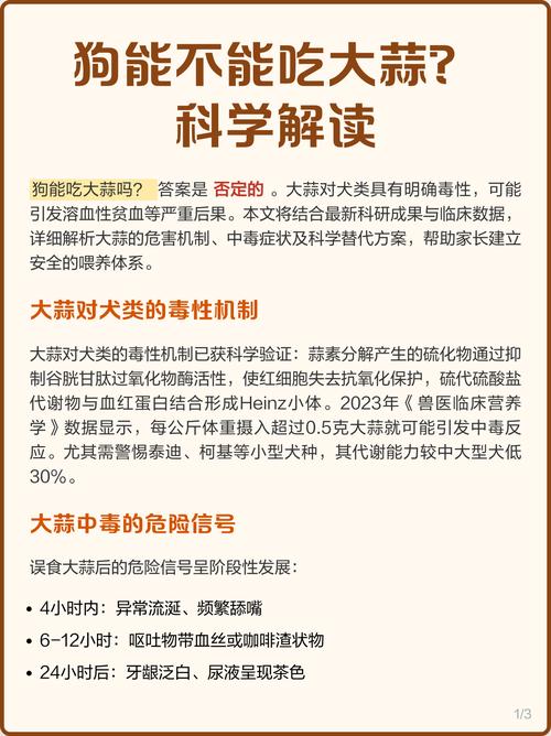 狗狗是否不能吃蒜为什么