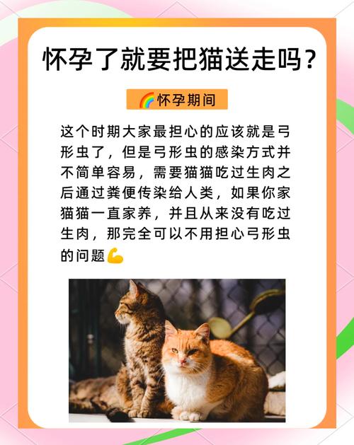 养猫对孕妇的七大害处