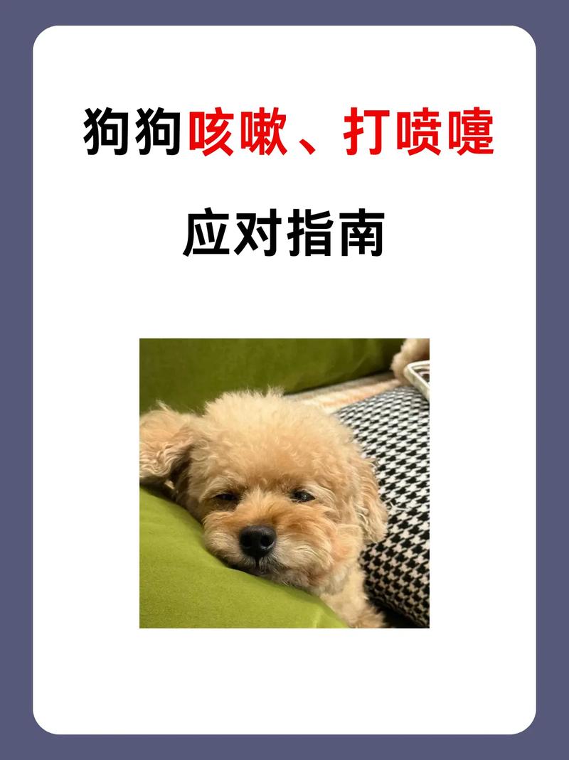狗狗咳嗽的症状