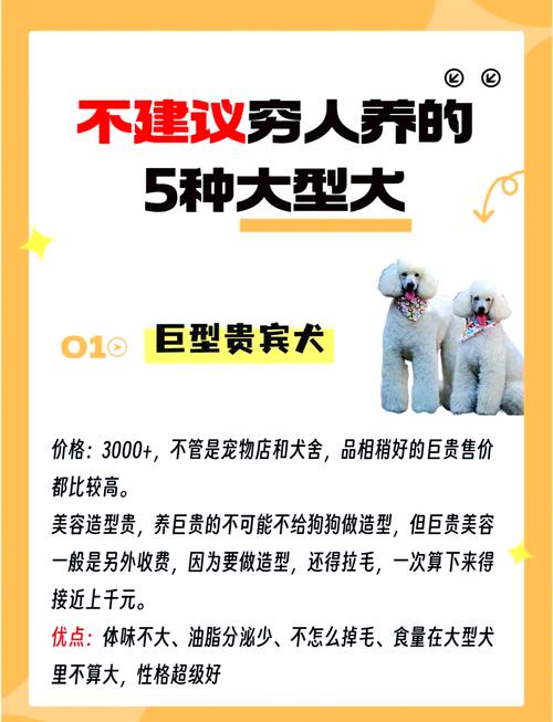 哪些狗狗属于超大型犬?巨型犬的费用