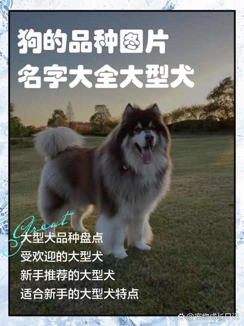 大型狗狗排名榜前十名