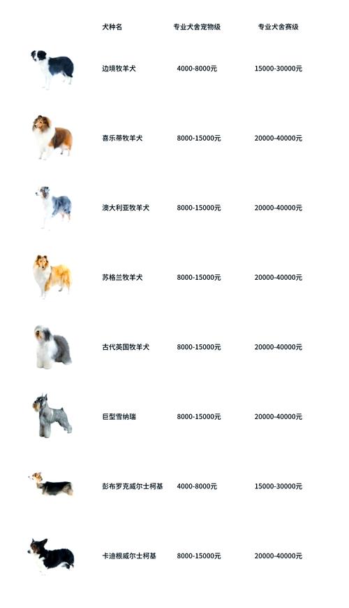 2022盘点世界上体型最大的15只狗狗,比人还高、堪称巨无霸