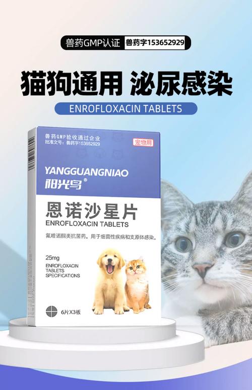 猫尿路感染用什么药