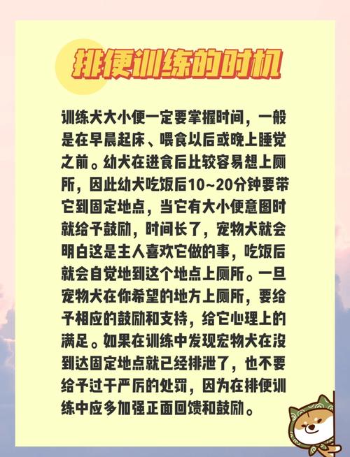 狗狗不在外面大小便怎么办