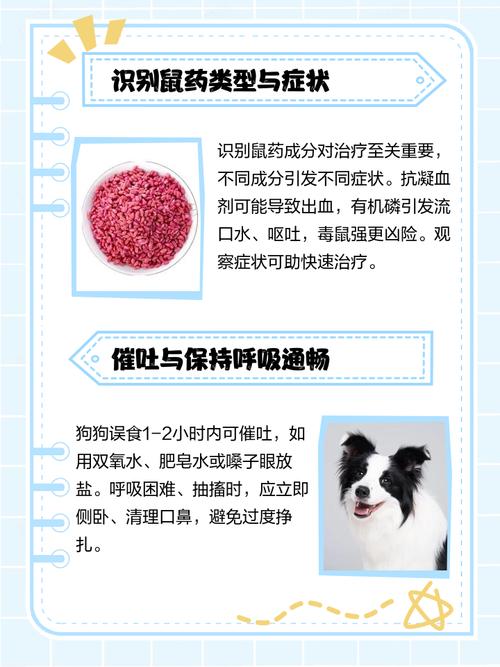 小狗吃了老鼠药怎么办