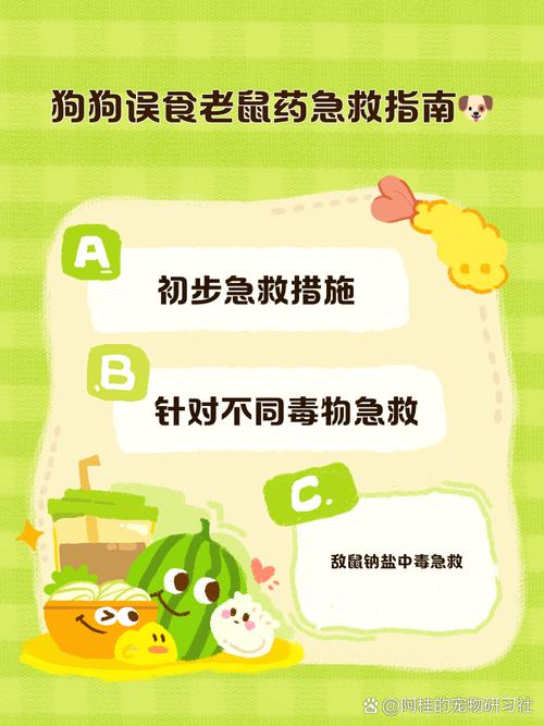 狗吃了老鼠药怎么解毒