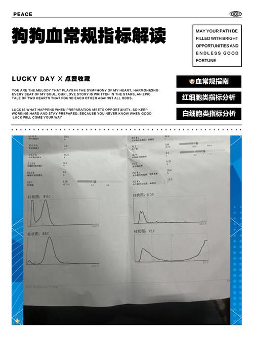 2个月小狗CRP值60,严重吗?