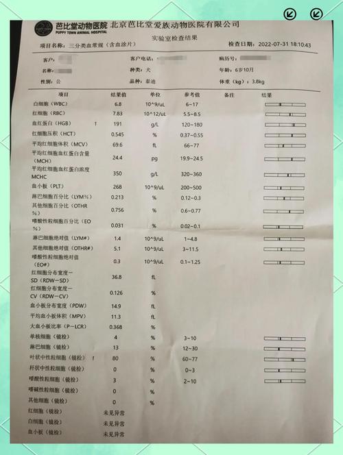 俩月小狗crp值60严重吗