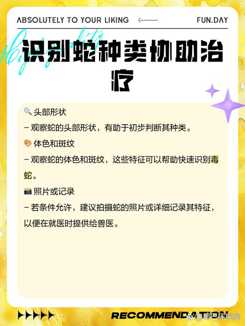 狗被蛇咬了怎么办?