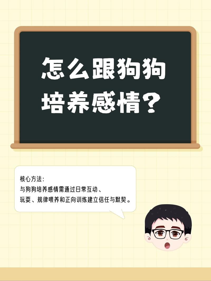 怎样和狗狗培养感情