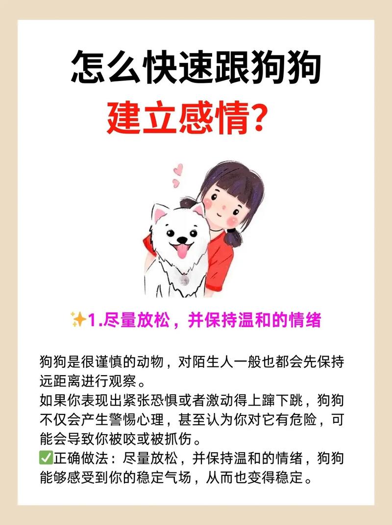 怎么样跟狗狗培养感情?