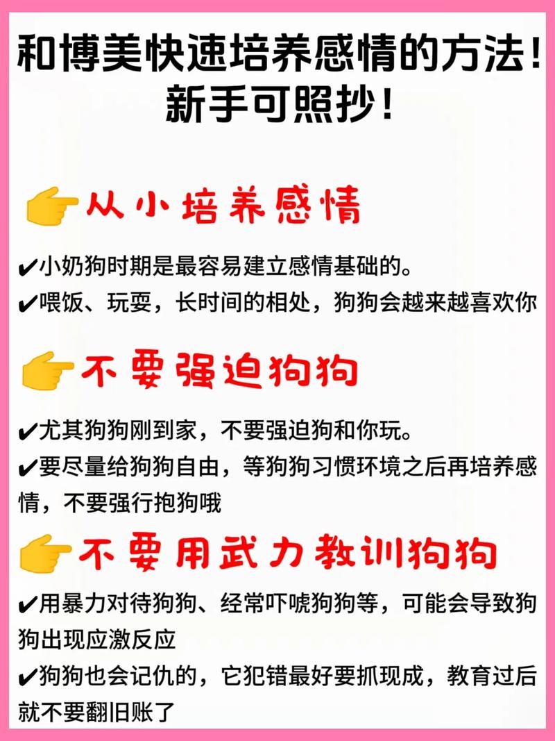 领养狗狗:如何跟领养的狗培养感情?