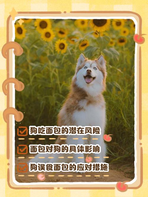 狗狗吃多了面包会怎样狗狗吃多了面包好吗